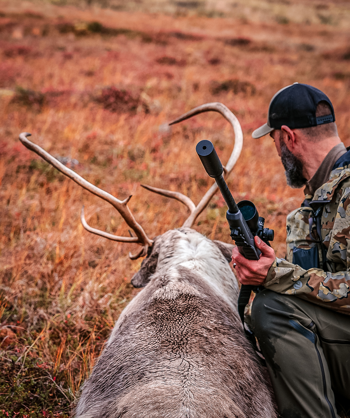 banish backcountry