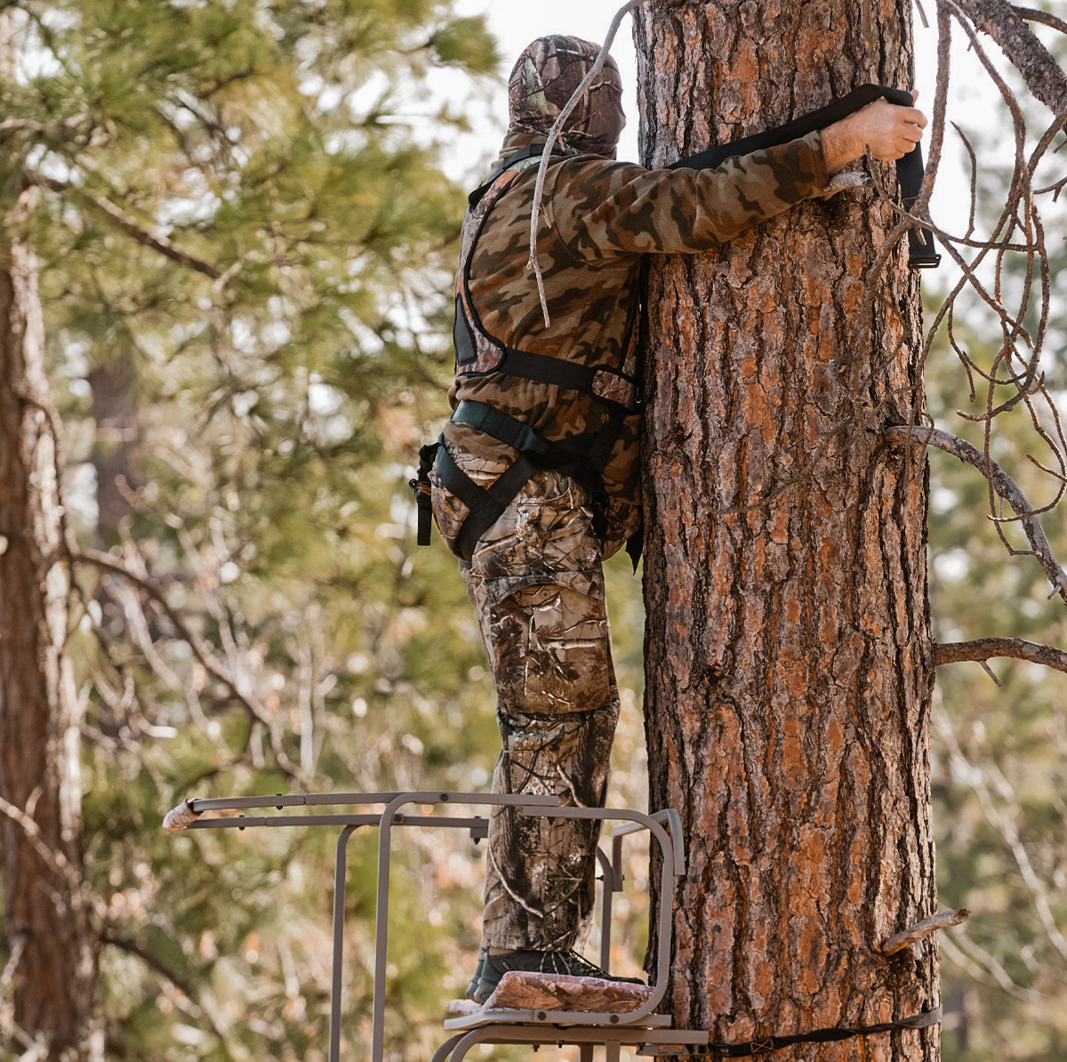 Wearing a safety harness will prevent you from falling and having a hunting accident