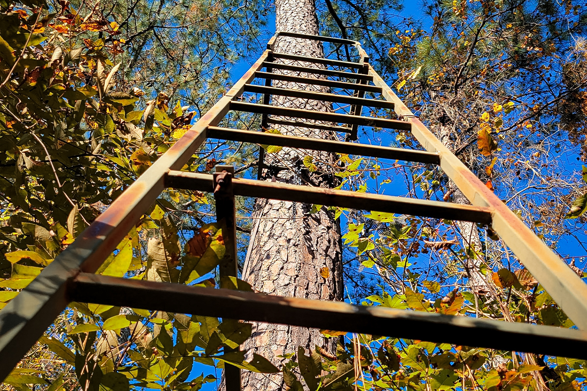When climbing a ladder stand, always maintain at least three points of contact.