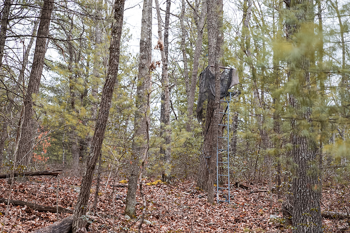 Check last year’s stand, straps, and chains before the season to ensure everything is secure.