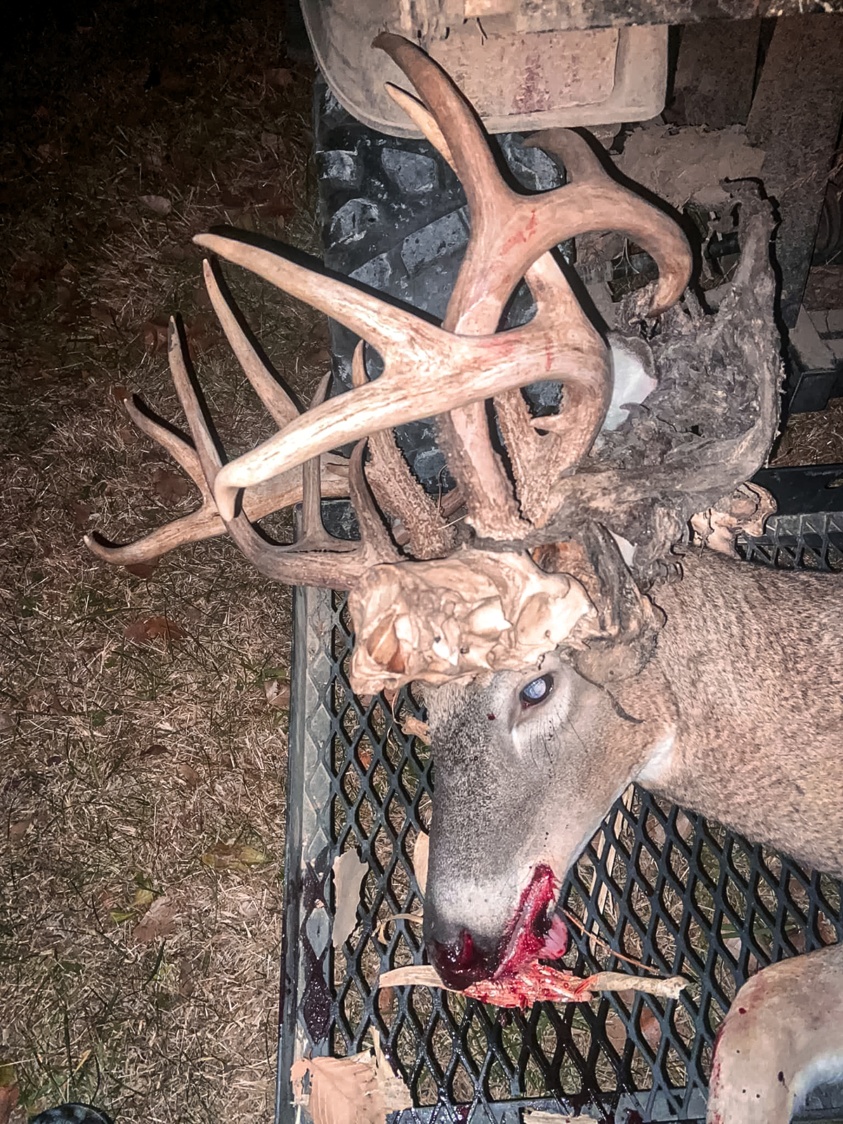 Successful hunt of a whitetail buck with an extra deer skull