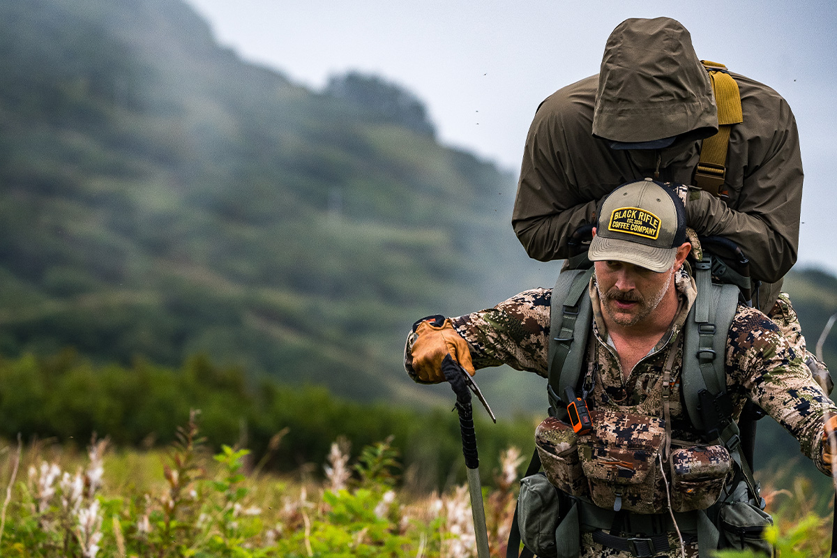 Being carried up the mountain