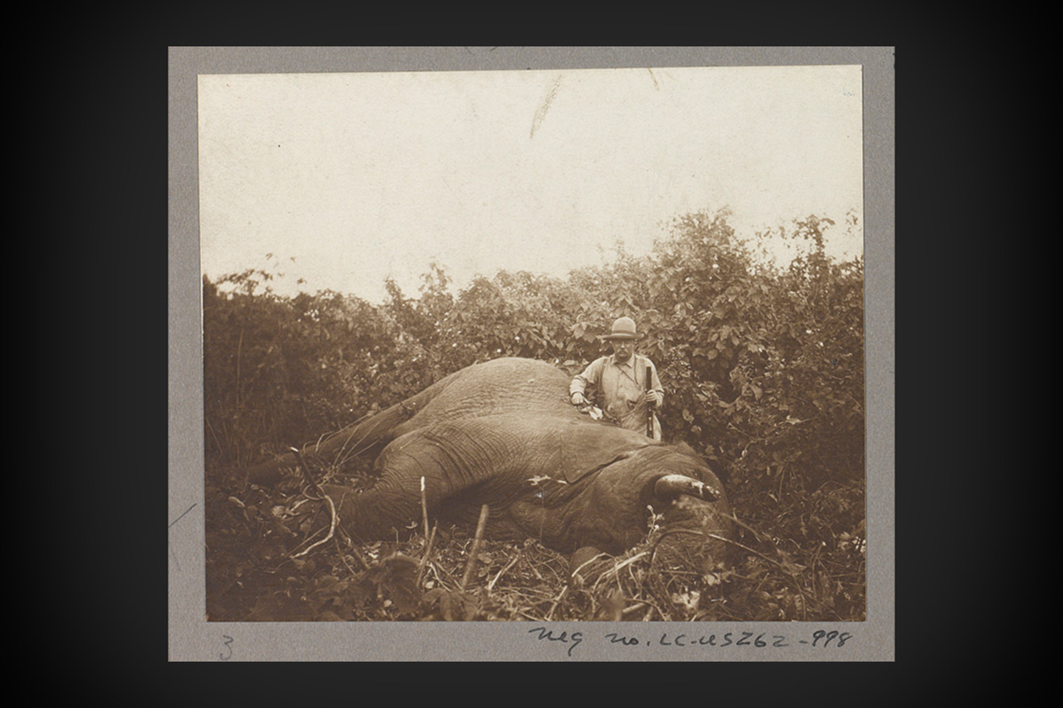 Theodore Roosevelt stands with a bull elephant he killed during an African safari in 1919.