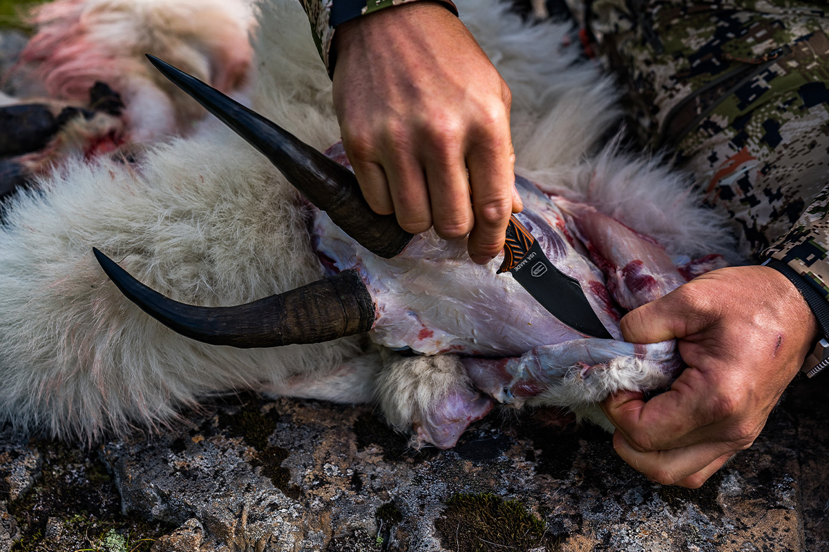 Jonathon Blank mountain goat hunt