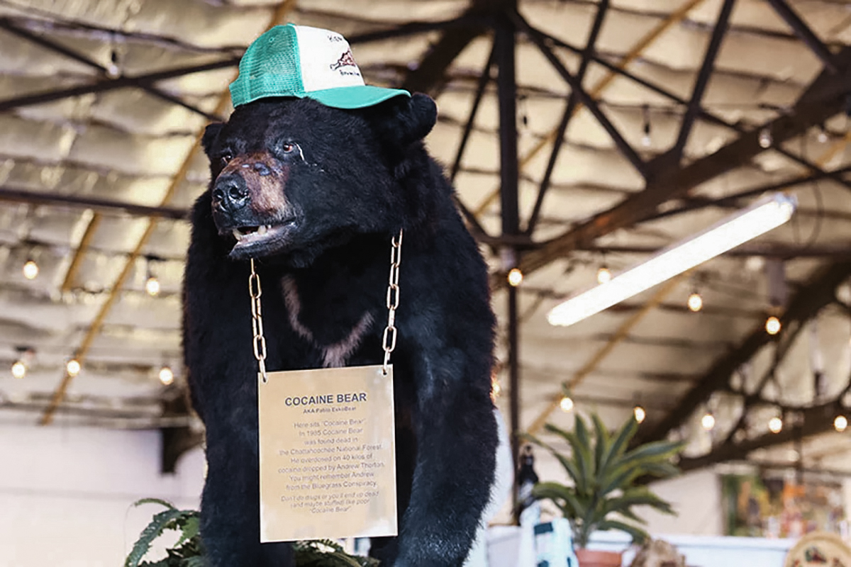 Cocaine Bear's Story Secretly Has A Much Deeper Meaning (Yes, Really!)