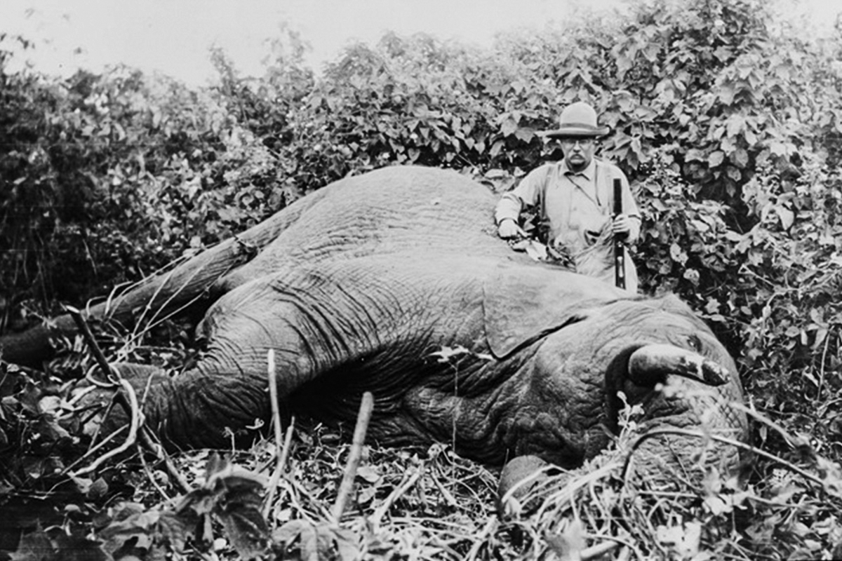 Although Roosevelt did plenty of North American hunting, his best-known exploits were his African safari trips.
