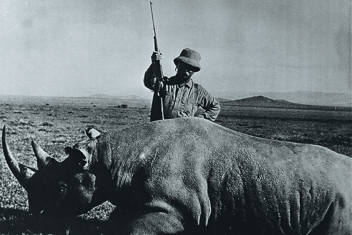 These rhinos, pictured here on display at the Natural History Museum in 1959, were taken by Roosevelt while on a safari.