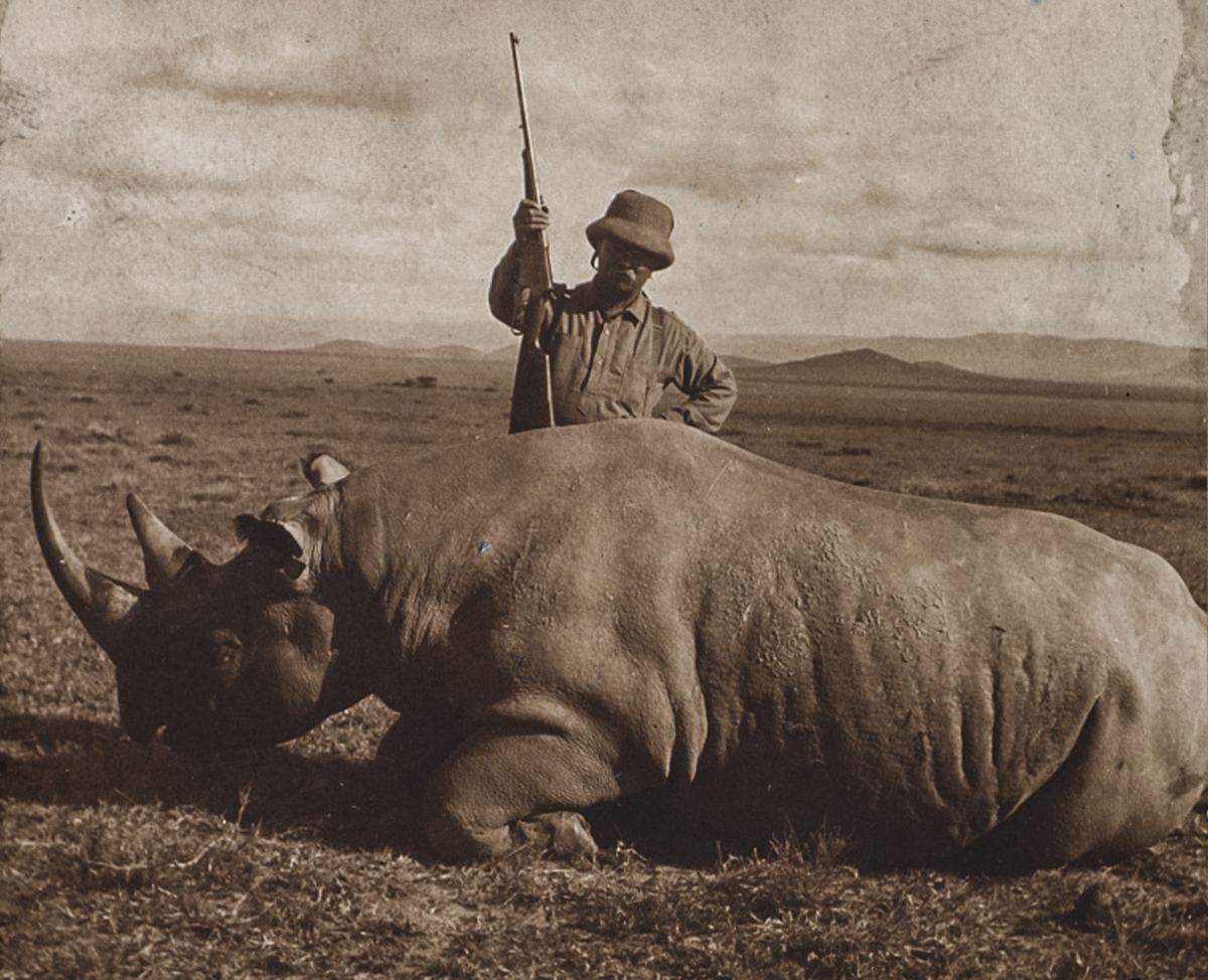 Rhino - Roosevelt killed at least one rhino with his 405 Winchester