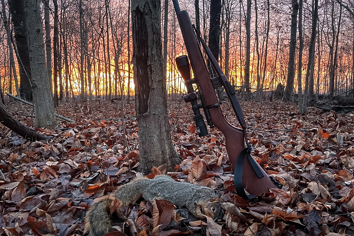 Squirrel hunting