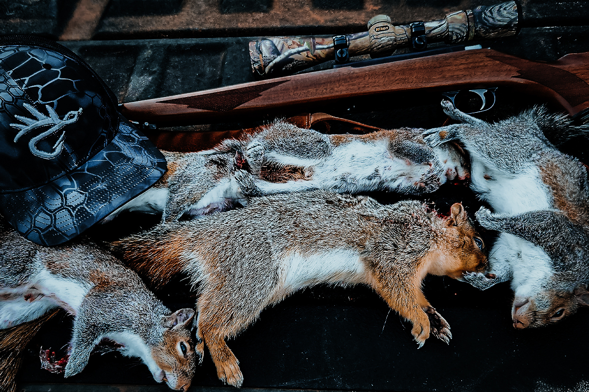Squirrel Hunting to Build Big Game Skills: This Is the Way