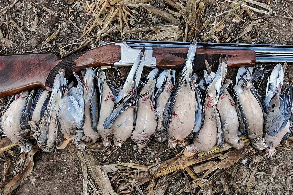 Author shot this limit of doves with a over under shotgun 12-gauge Browning Citori Ultra Sporter. Made in Japan for 50 years, the Citori started out as a simpler version of the Superposed and has gone on to become a classic in its own right.