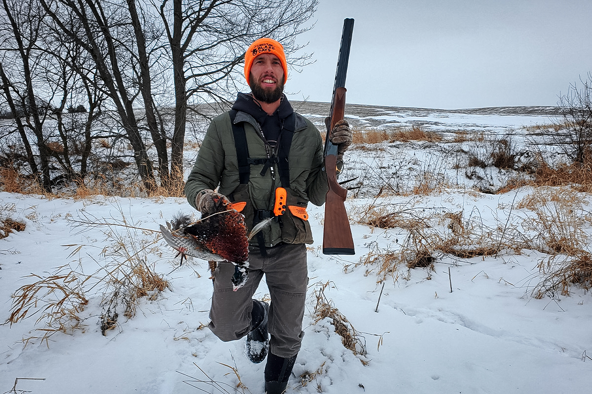 An Iowa pheasant hunter carries a ringneck rooster and a Beretta 686 on a late-season hunt. Popular around the world, the 686 makes a great gun for hunting and clays, and it’s priced within the range of people who want to stretch a little for a gun that will last generations. Over under shotgun.