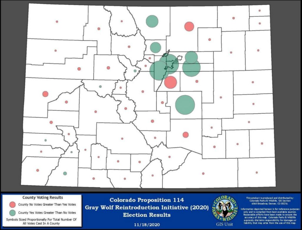 How To Handle Wolves In Colorado Remains Controversial