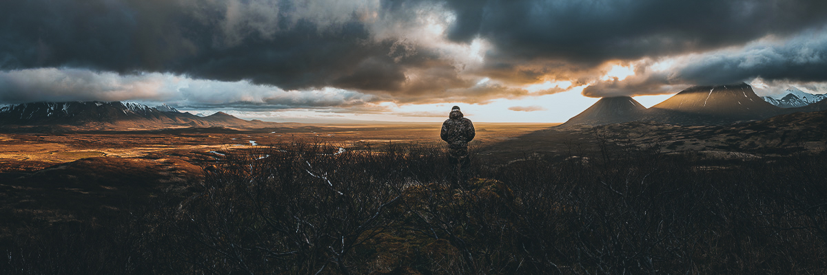 Alaska bear hunt