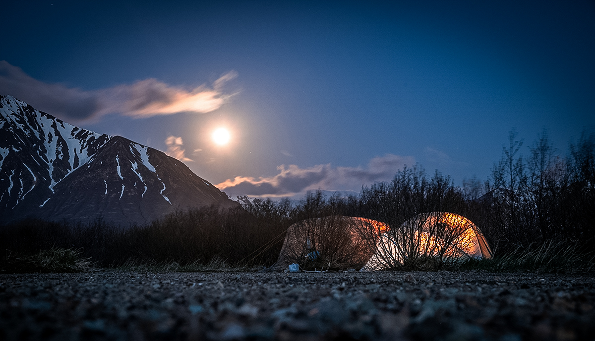 alaska bear hunt