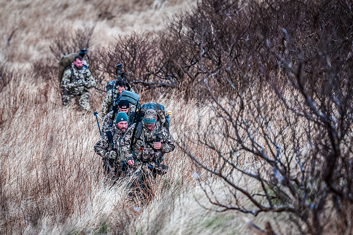 alaska bear hunt