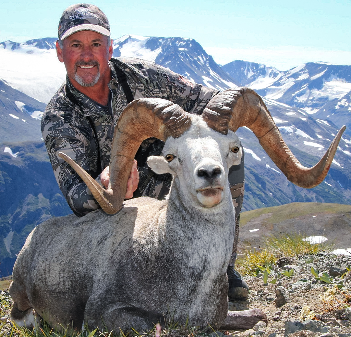 Gray Thorton hunting Sheep