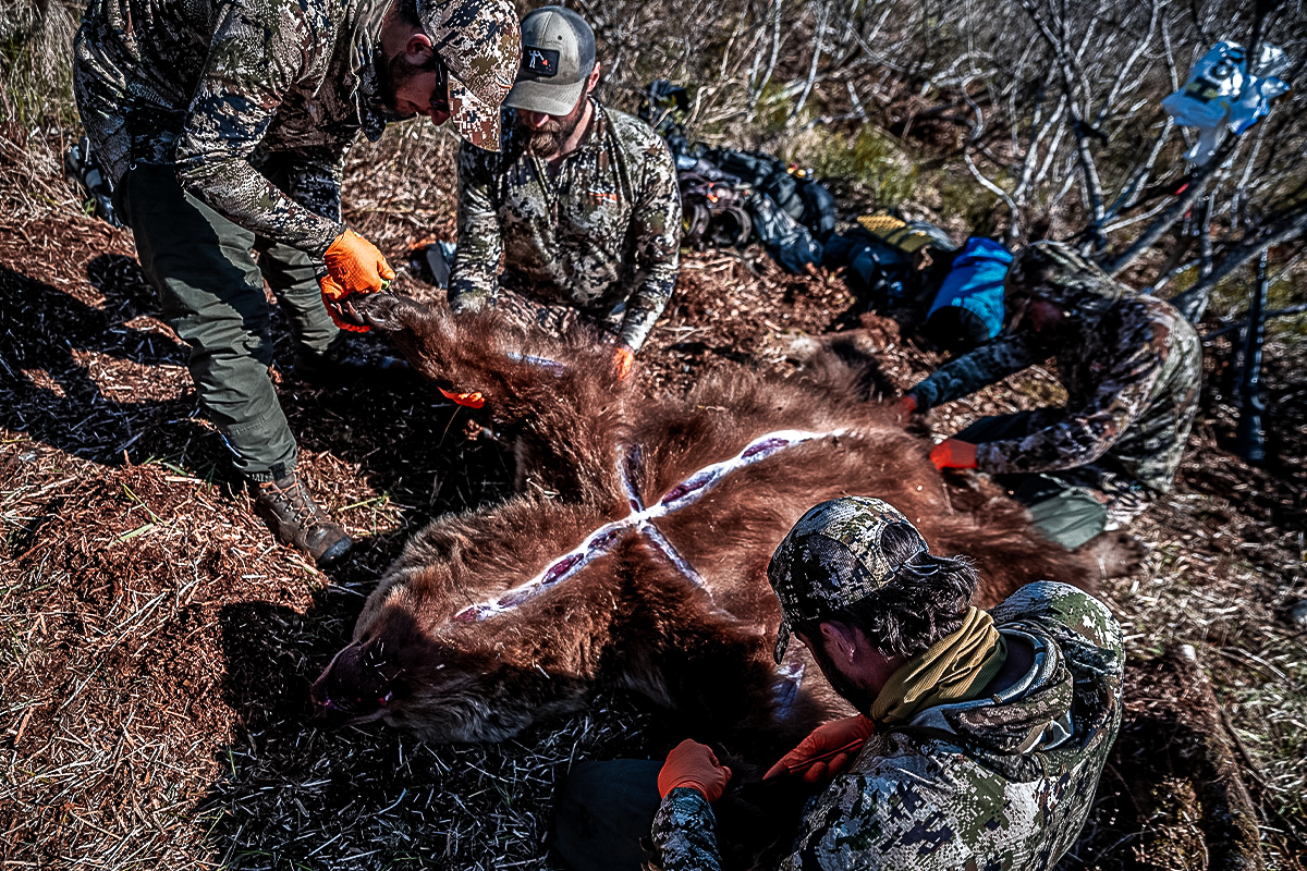 Alaska bear hunt