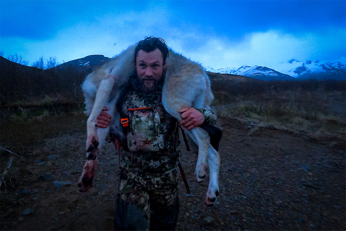 Alaska wolf hunt