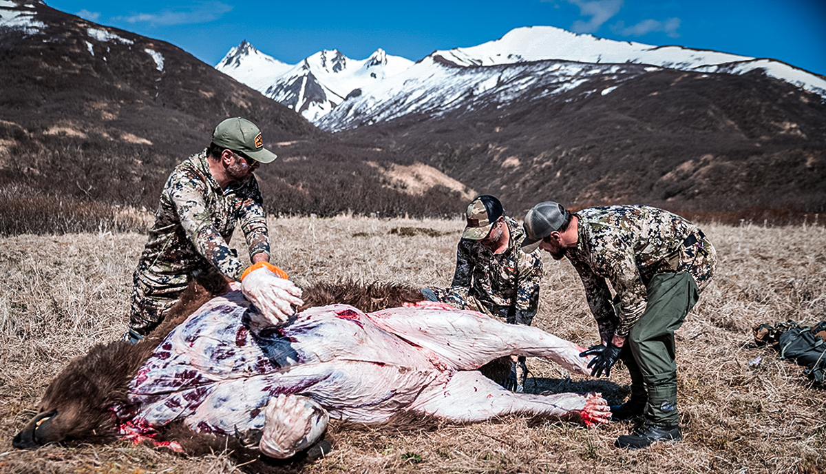 alaska bear hunt