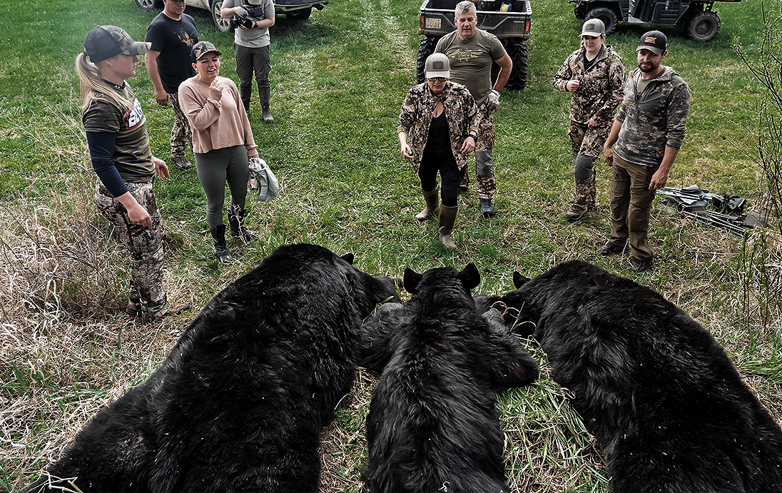 alberta bear hunt