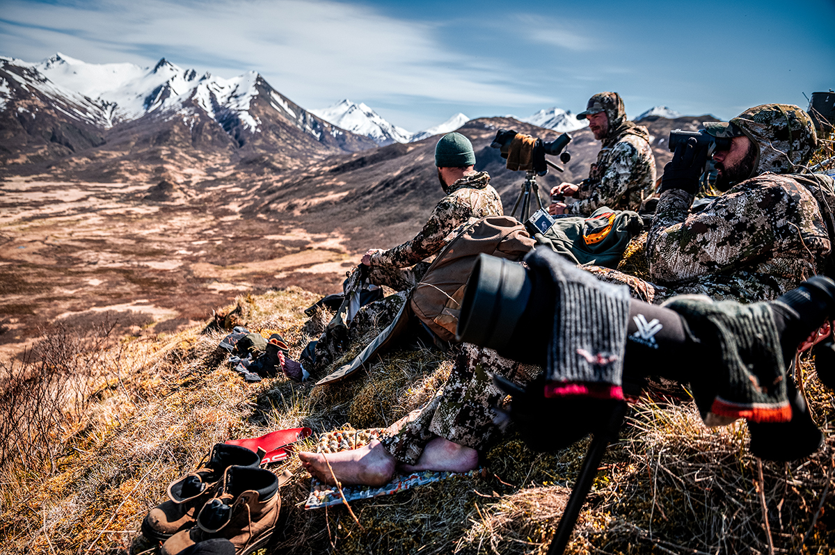 alaska bear hunt