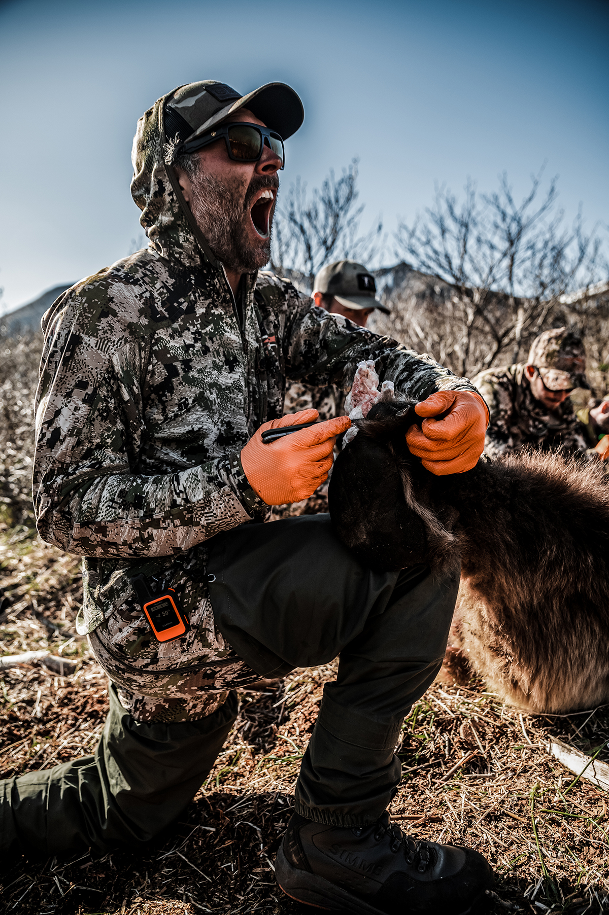 alaska bear hunt