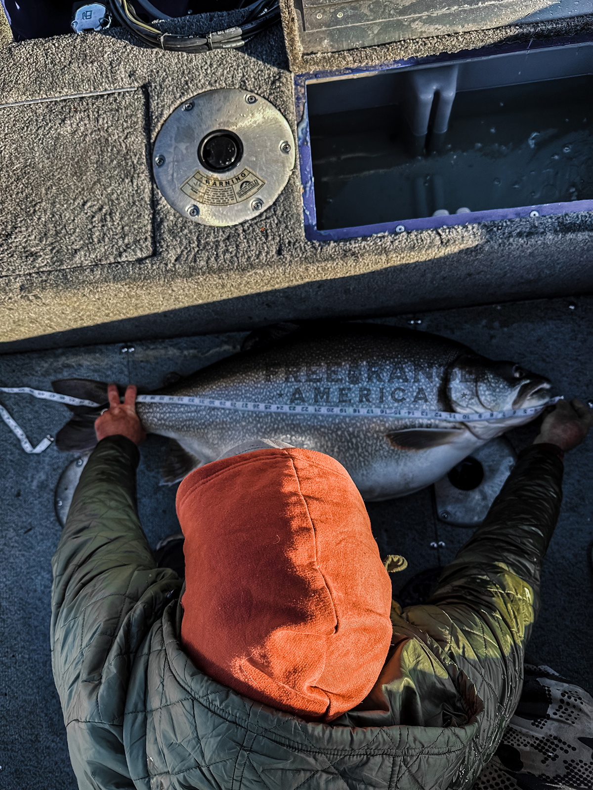 world record lake trout