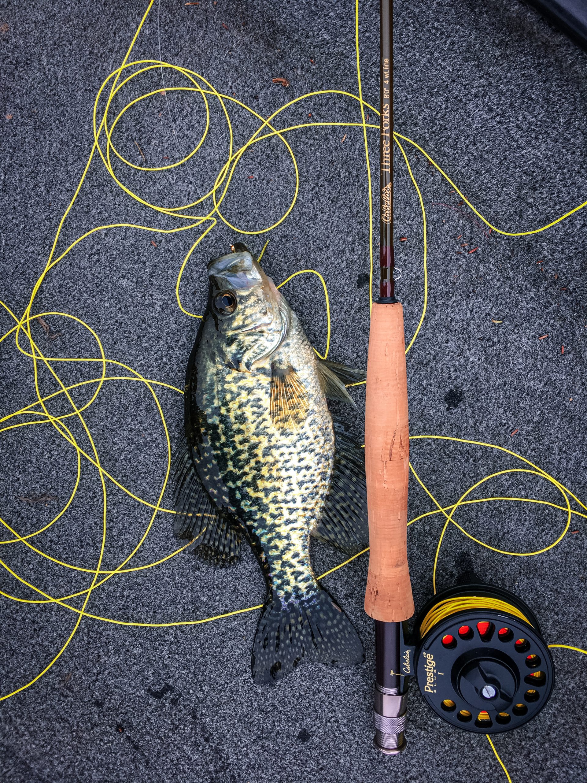 Crappie Fishing Rods - Selecting The Perfect Crappie Pole