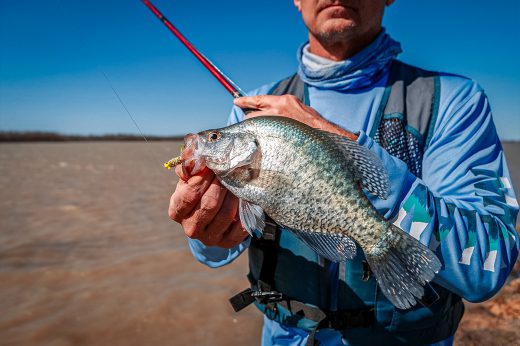Crappies