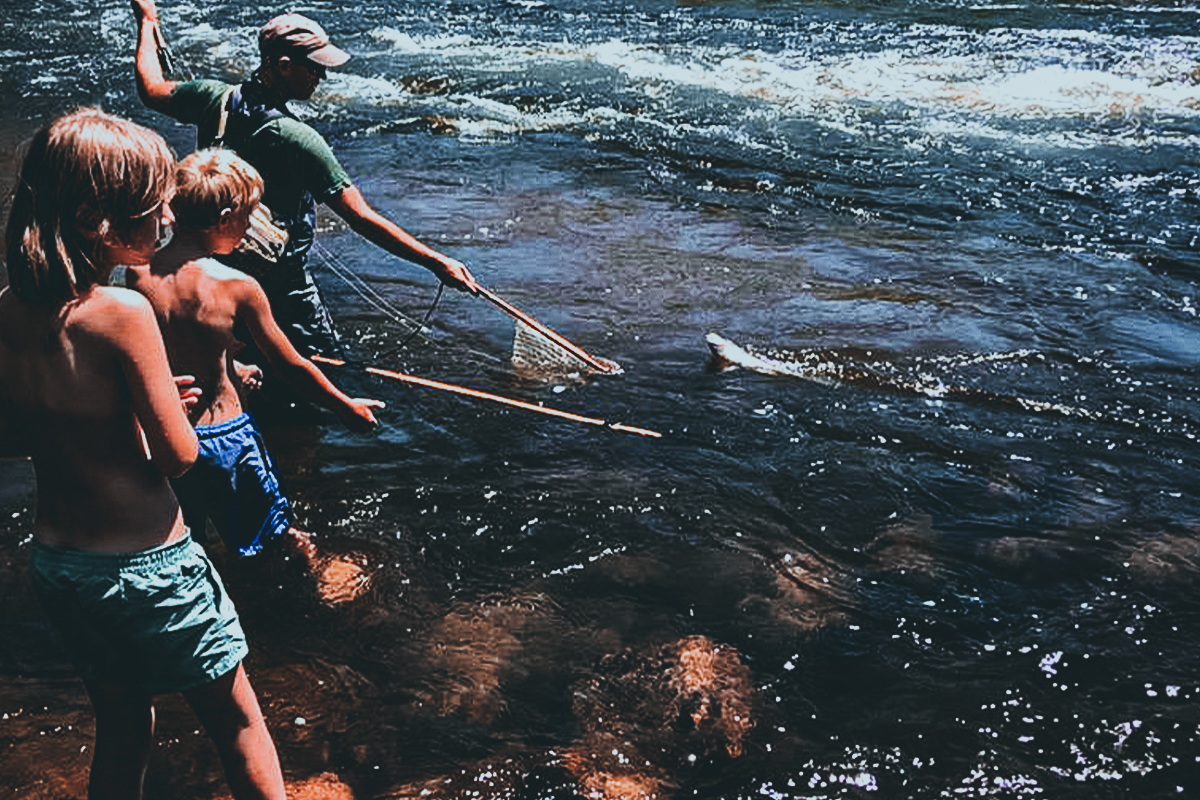 Colorado summer