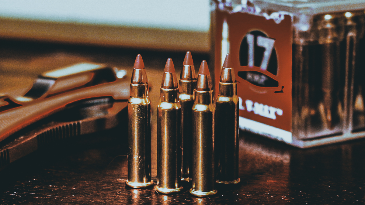 17 Different Types of Bullets & Their Uses