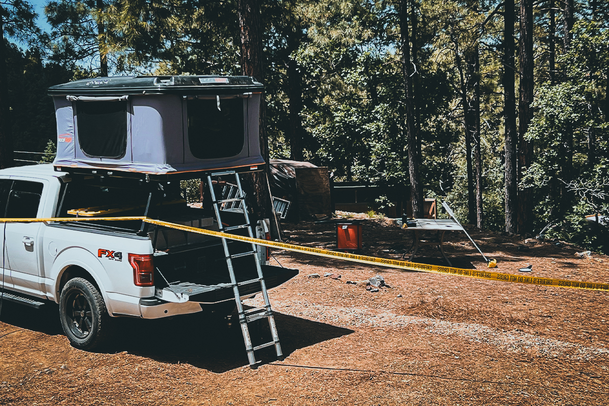 Arizona black bear attack