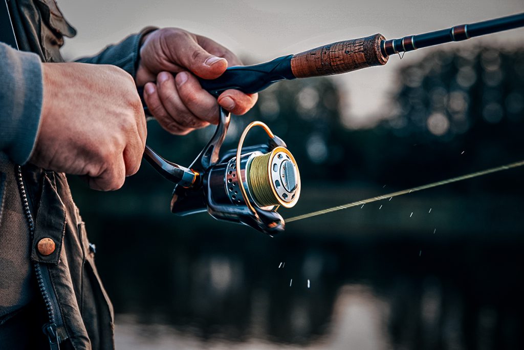 Why Your Fishing Reel Gear Ratio Matters