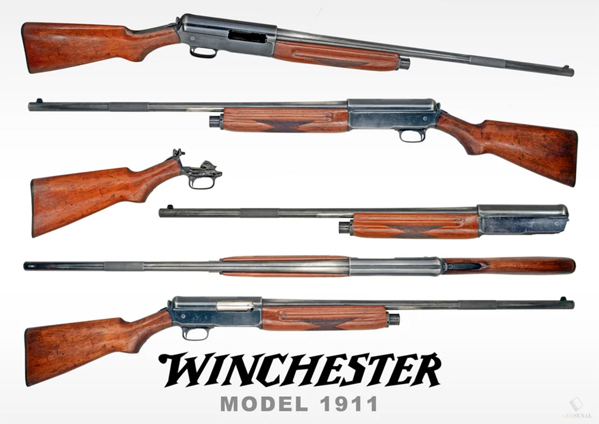 Winchester shotguns