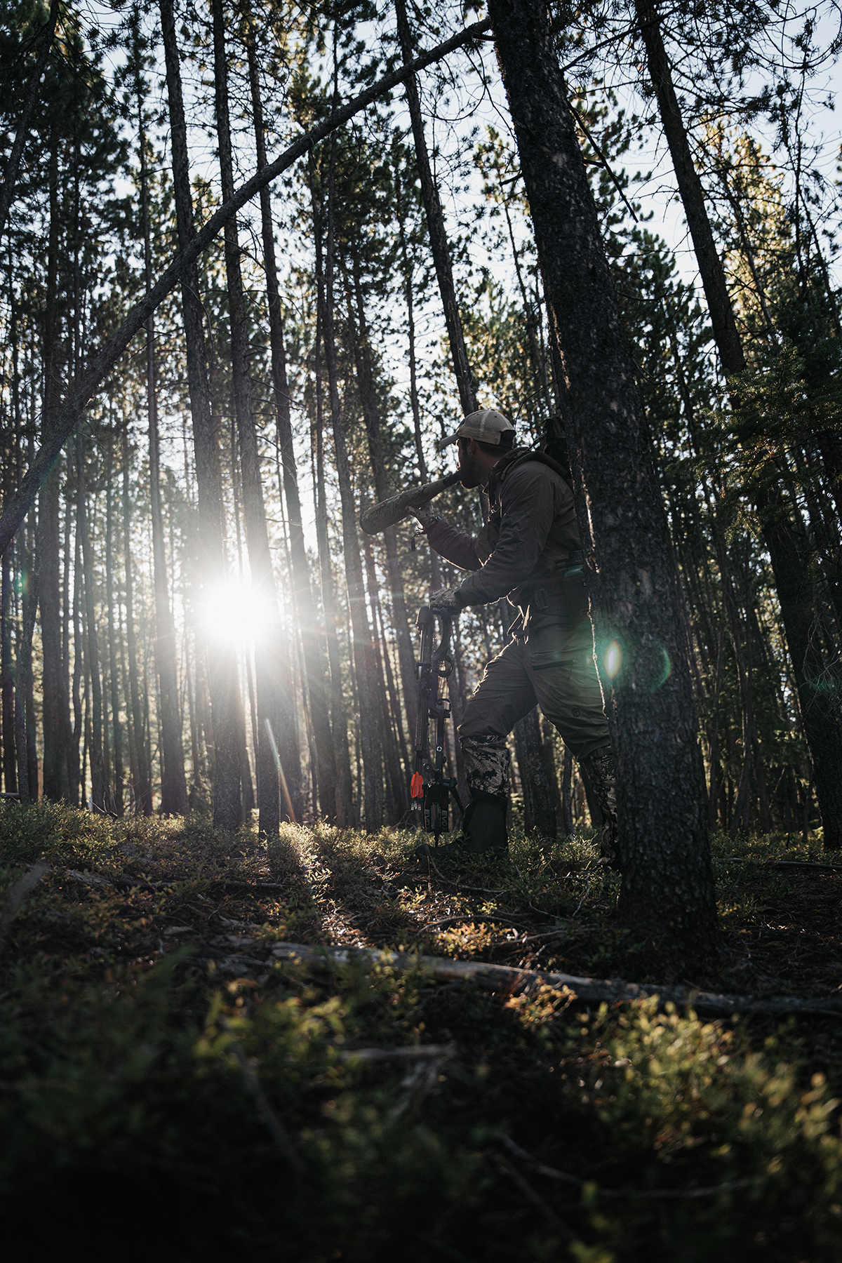 public land elk hunting