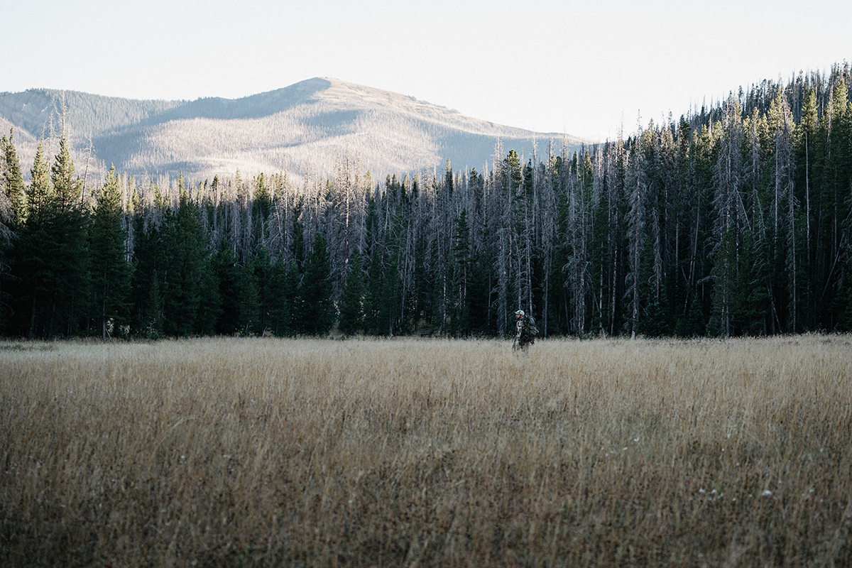 public land elk hunting