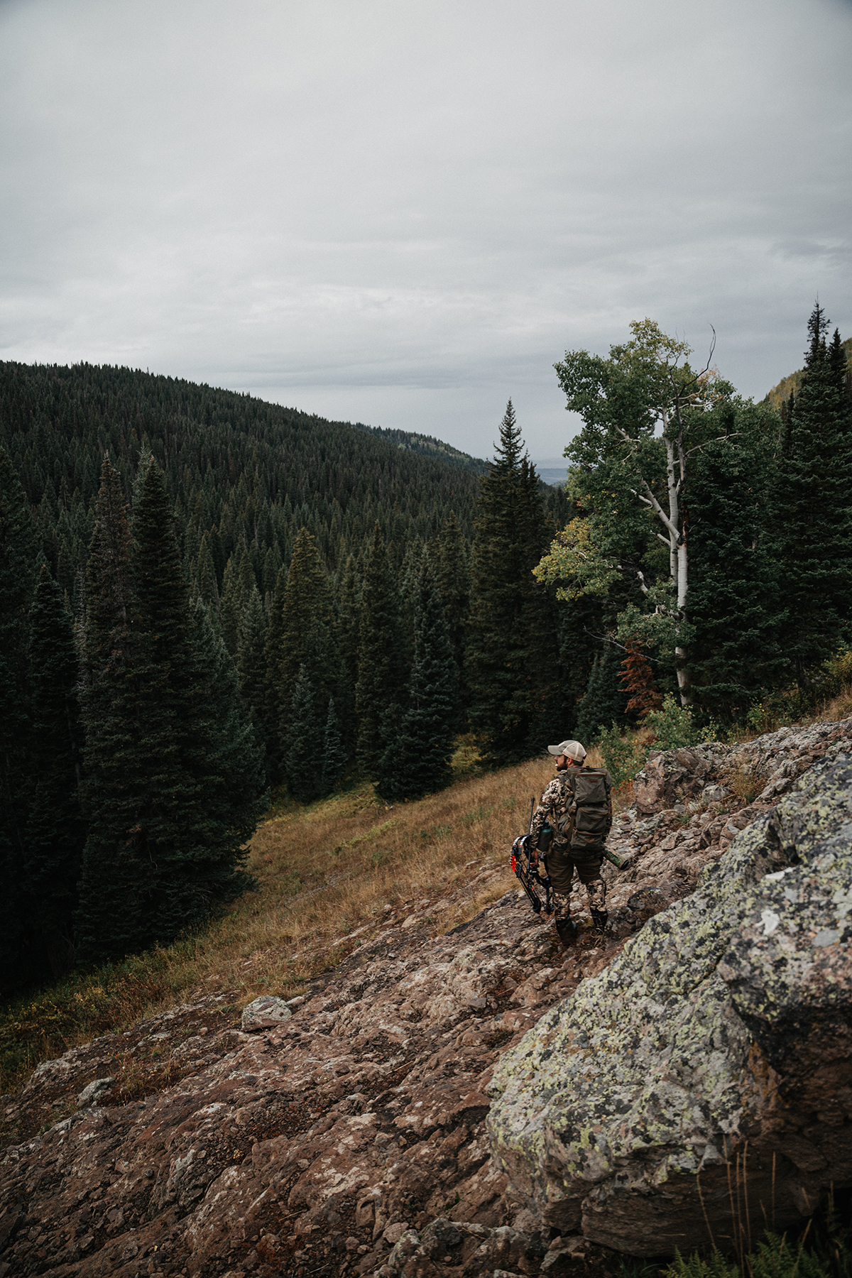 elk hunt