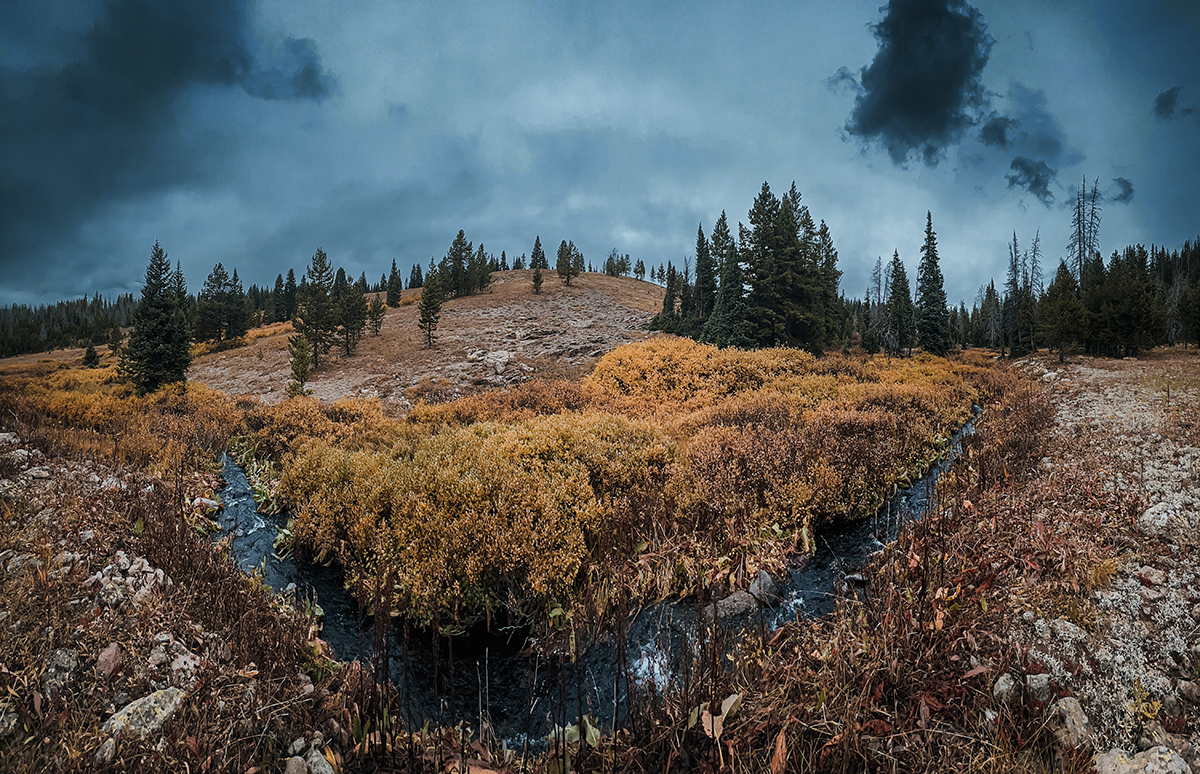 public land elk hunt