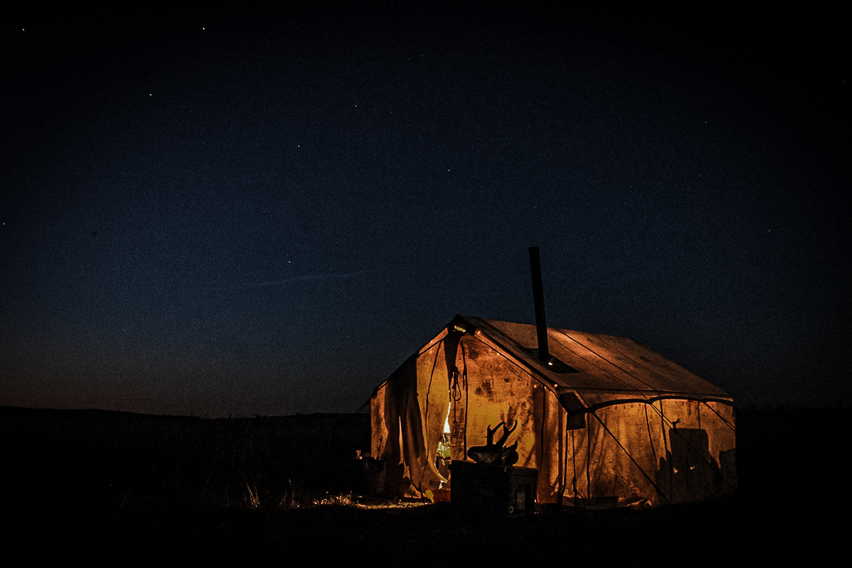 pronghorn antelope hunt