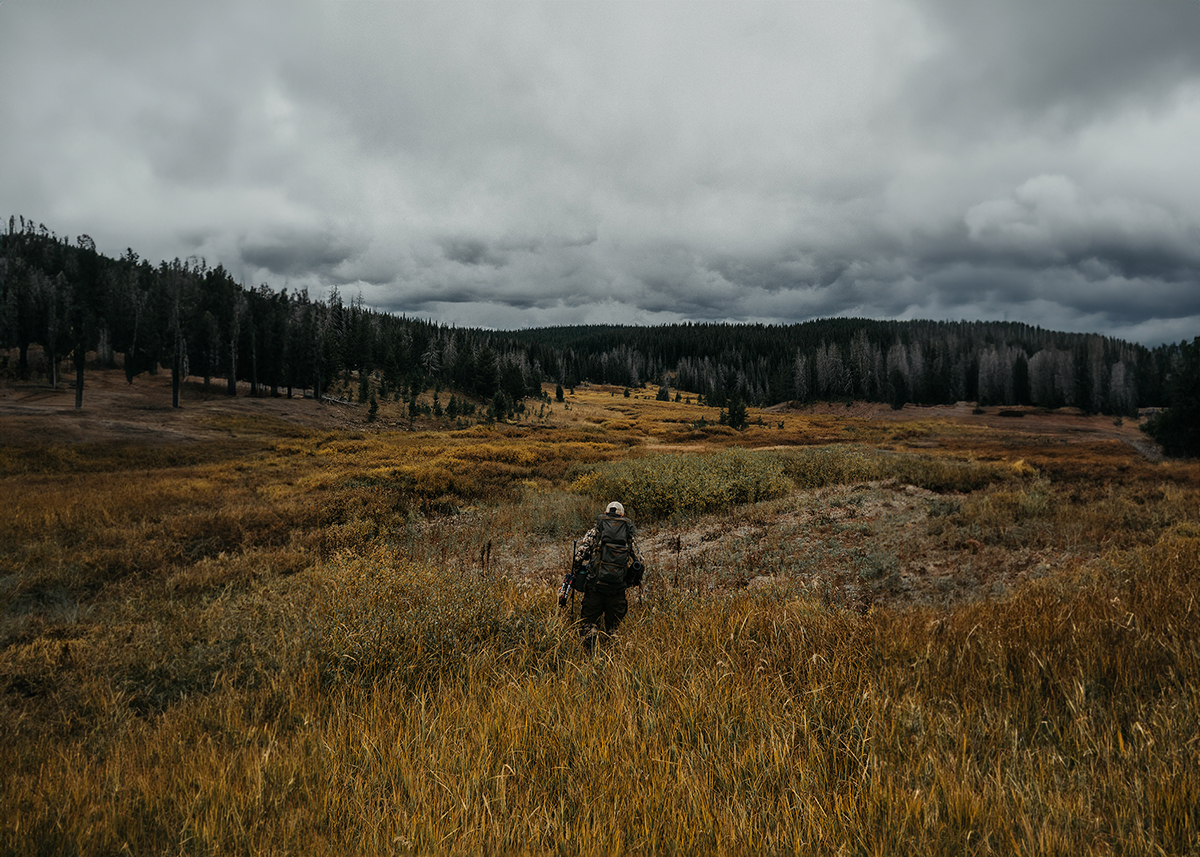 public land elk hunting