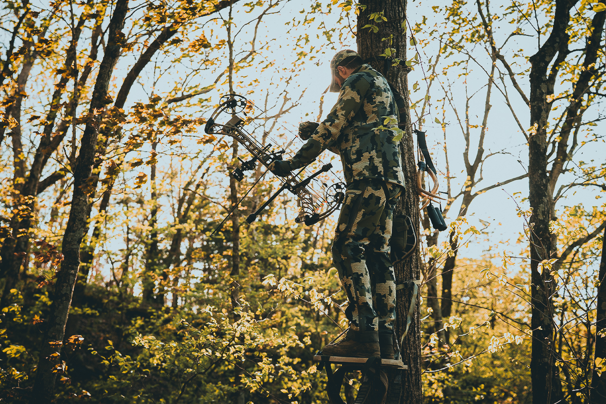 treestand