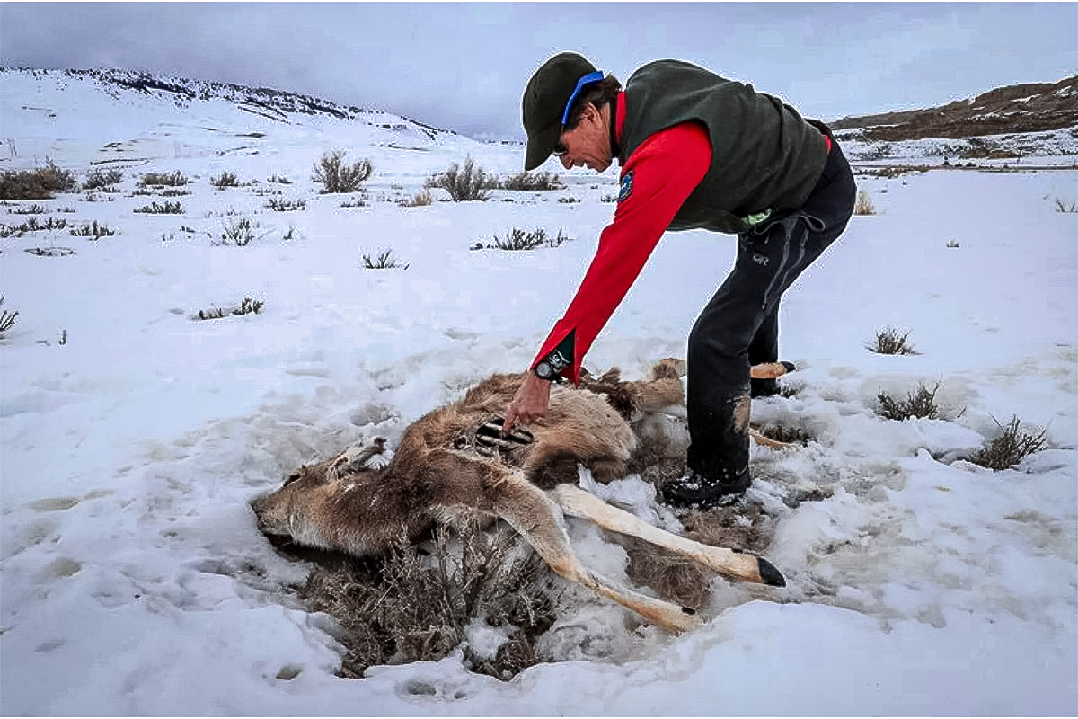 wyoming fish and game