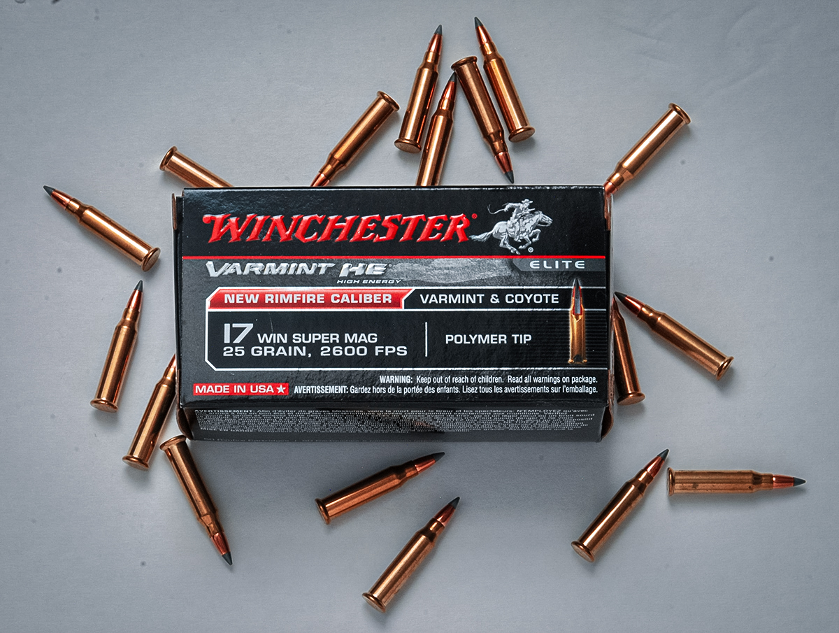 17 Winchester Super Magnum