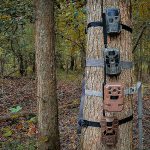 trail cameras