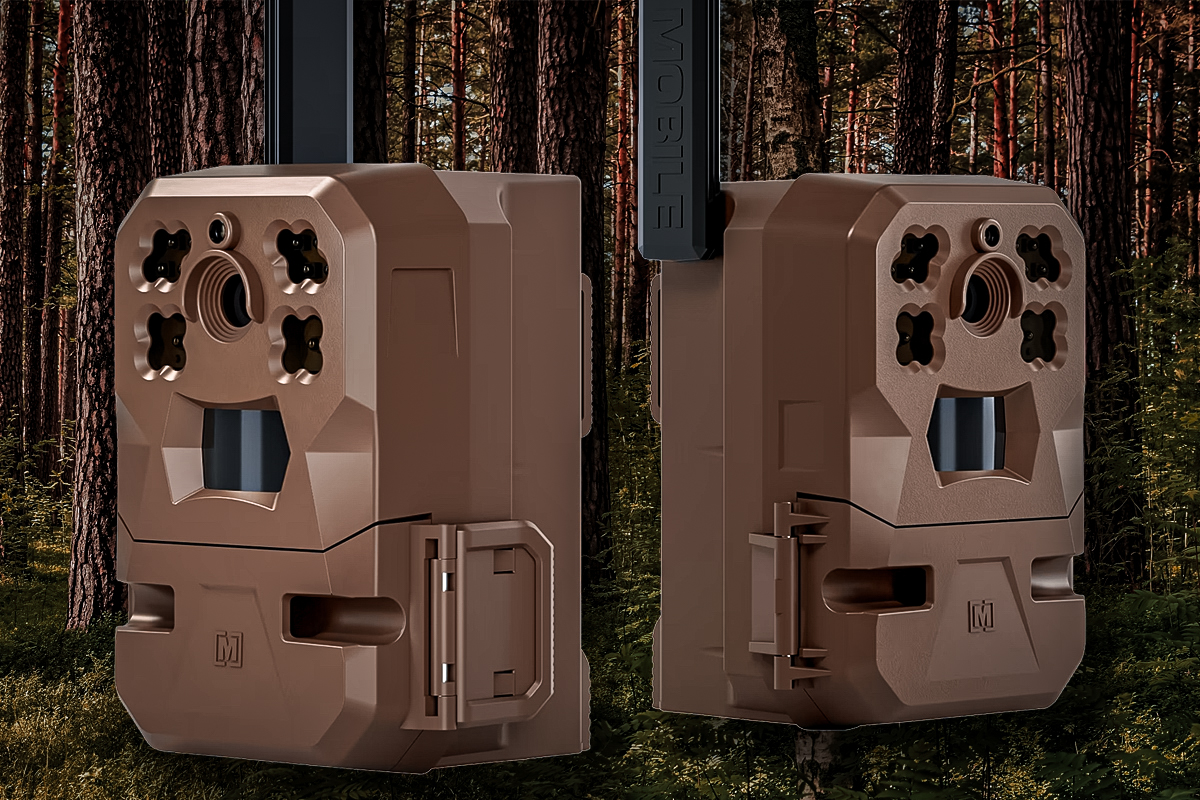 trail cameras